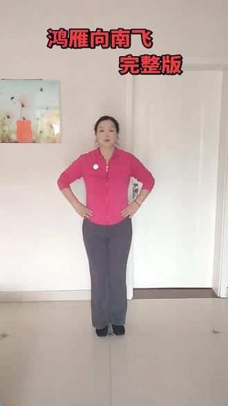 完整版的《鸿雁向南飞》来了,零基础学新舞#
