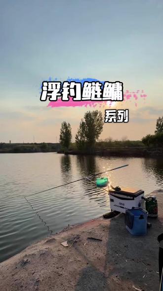 加大味型、放慢频率,才是春末钓鲢鳙的关键#原来钓鱼才是抖音运动顶流 #钓鲢鳙 #鲢鳙