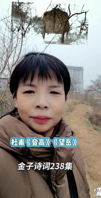 杜甫《登高》《望岳》