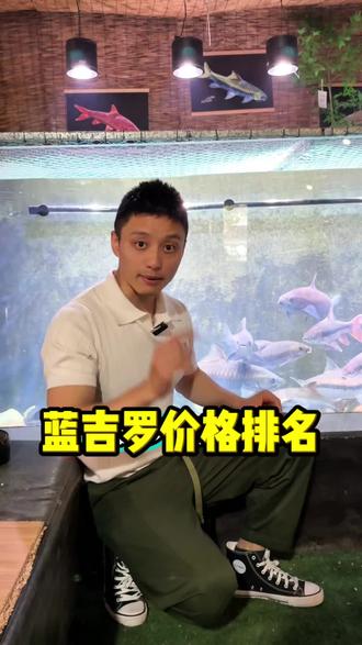 蓝吉罗价格排名 #中国原生鱼 #原生鱼 #蓝吉罗 #观赏鱼 #吉罗鱼