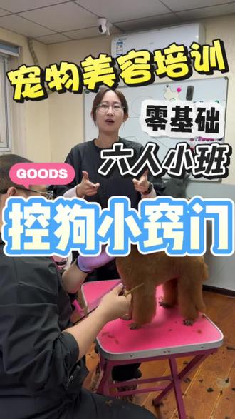 宠物美容教学控狗练习 宠物美容如何控狗系列记得收藏#内容过于真实 #宠物 #宠物知识 #宠物美容培训 #宠物美容培训学校