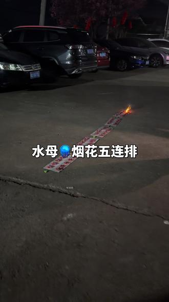 #水母烟花 5秒没🤣🤣🤣