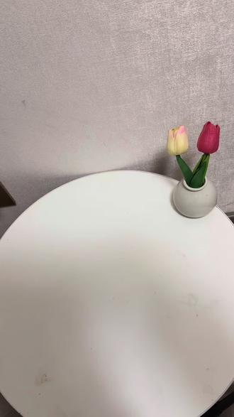 三年级下册第一单元动物海报教程
🍀Hello 宝子们~期待已久的 外研版三年级下册第
1单元动物海报来啦!
📒材料包里 有1张风景底板+2张动物素材包括:大熊猫、大象、狮子、鸵鸟、变色龙、斑马等十三只动物,第一单元的重点动物全都有!
❤️直接剪下喜欢的小动物,粘贴上去就好~我们还贴心配了单词纸,边做边默写,把单词贴到对应动物身上,好看、好玩、还超方便!#英语教具 #动物海报#三年级下册英语#手抄报