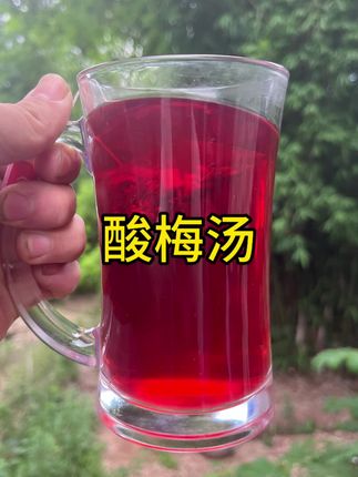 酸梅汤 其实酸梅汤,才是夏天的好饮料#我的乡村生活 #植物科普