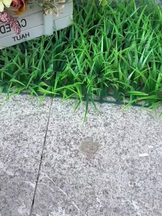 拓森工业级多功能带测电灯折叠剥线钳分线器可调节绕线大开口剪切