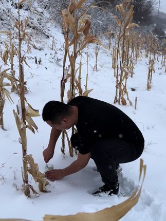 曾经服务于人民,现在从头做起,养蜂多年,没有销路,不靠等,不靠帮,没有感到丢脸,老实做人,踏实做事,会得到大家认可的。#蜂蜜 #蜂王浆 #纯正天然蜂蜜 #农家蜂蜜 #野生蜂蜜