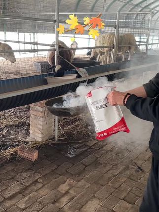 秋冬季节养殖场烟熏消毒常备,一包烟熏500平方,可带畜禽消毒。#农村养殖#养殖场#烟熏消毒 #圈舍消毒