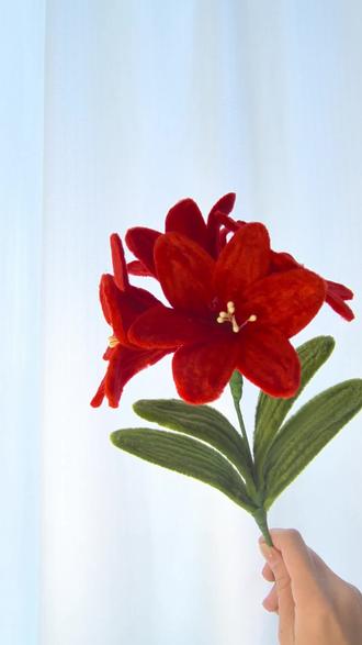 君子兰教程来喽~一起做永不凋谢的花#手工花朵制作 #手工diy #扭扭棒教程