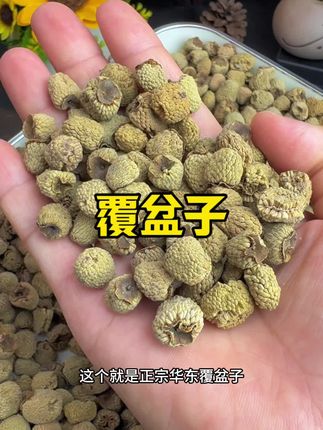 #覆盆子 #覆盆子泡水 #覆盆子茶 #覆盆子泡茶 #正宗覆盆子
