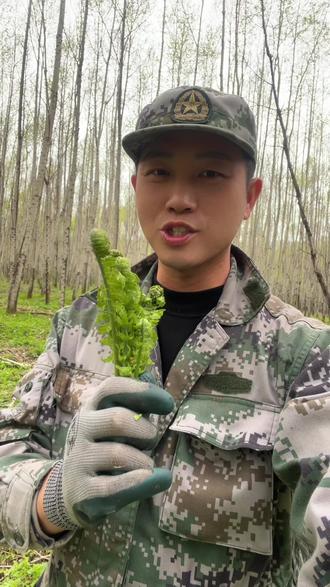 我都懵了都五月份了山里竟然下起了雪