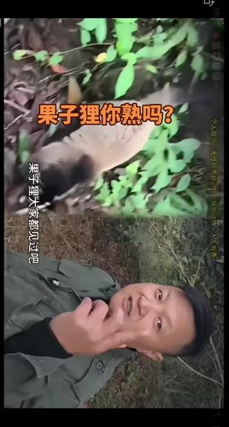 一分了解#野外户外 果子狸