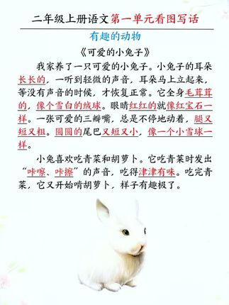 #二年级 上册开始从看图写话过渡到写作文了,孩子没思路不会写,这本#同步作文 从审题,列题纲,到字词句运用和好词好句段积累,手把手教会孩子写作#素材积累 #高效学习 #学霸秘籍