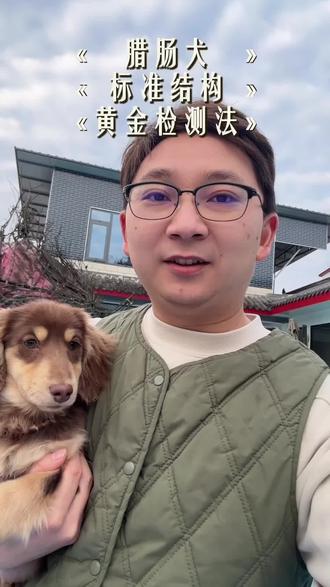 你家腊肠犬的结构标准吗,腊肠犬正确的结构比例和背线不仅会具有更好的审美,也会更健康噢#萌宠 #养狗经验分享 #狗狗 #长毛腊肠犬 #腊肠犬