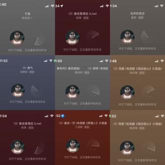 虫大也会孤单#网易云音乐