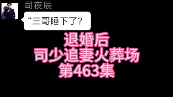 有情况《第463集》