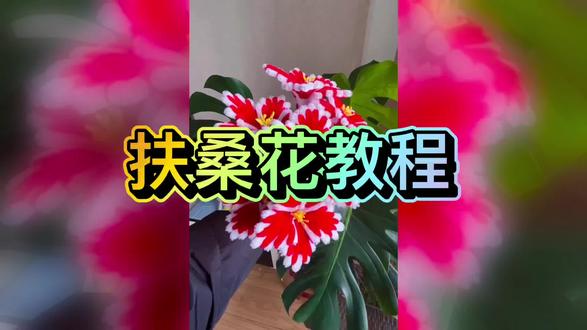 扶桑花教程来啦!一起做起来吧!