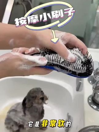 【倍爱】新一代狗狗猫咪宠物干湿两用按摩梳