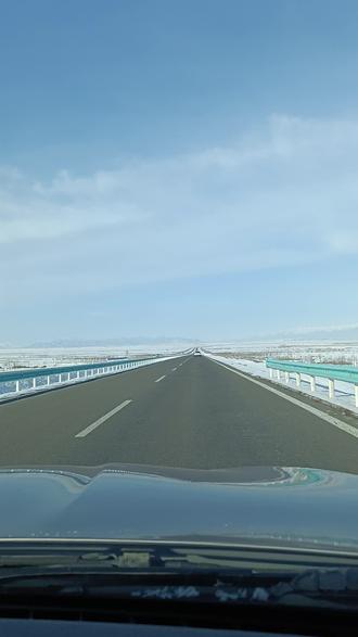 一马当先,马运亨通……