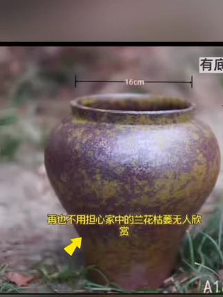 老坛子粗陶盆,大号能装,三角梅多肉透气无忧。#老坛花盆 #花盆 #养花人 #花盆推荐 #器物之美