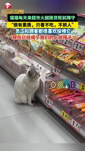 猫猫每天来超市火腿肠货柜前蹲守,“望肠止馋 ”! “很有素质,只看不吃,也不抓人,员工和顾客都很喜欢它,现在已经成了我们的#上班搭子 !”#猫猫的迷惑行为 #有趣 #没想到吧我也没想到 #神奇动物在抖音
