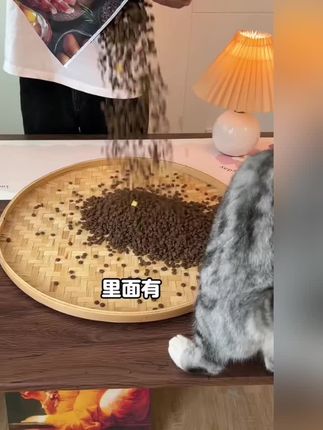 #鲜肉冻干猫粮 #冻干猫粮 #冻干猫粮推荐 #冻干鲜肉猫粮 #猫粮推荐冻干猫粮