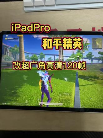 全网最细iPad和平精英改超广角高清120帧 #ipadpro和平精英 #平板吃鸡 #游戏平板 #和平精英改画质