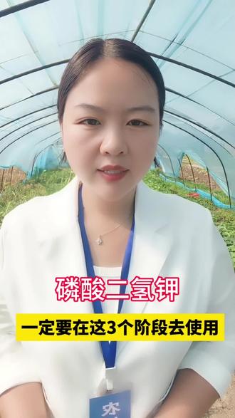 #农业种植 #磷酸二氢钾 #磷酸二氢钾使用小妙招 #磷酸二氢钾黄金搭档 #分享农业知识帮农民增产增收