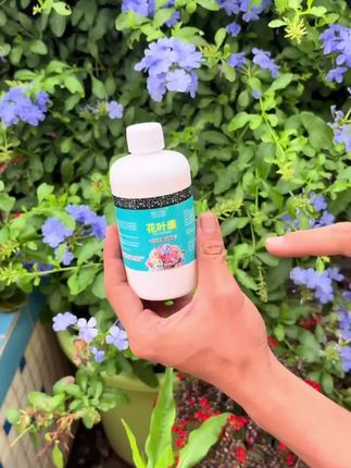 花病康-官方正品】花叶康植物活性剂喷雾花卉多肉白粉黑斑#花病康#花叶康植物#活性剂喷雾#花卉多肉#白粉黑斑