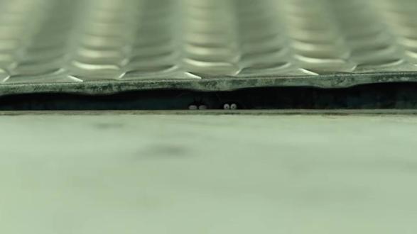 《昆虫总动员》第十一部#电影#动画片