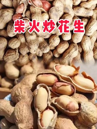 #柴火炒花生 #花生 #柴火铁锅炒花生#炒花生