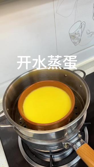 开水蒸蛋羹,超级嫩滑!跟着蛋神严格按时间要求蒸的蛋,超级完美超级丝滑#鸡蛋羮 #跟着蛋神蒸蛋 #鸡蛋的神仙吃法 #爱吃蛋 #三四钢雪平锅