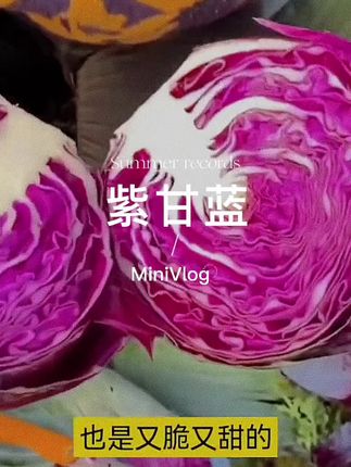 #紫甘蓝 #好吃不贵经济实惠 #喜欢的赶紧入手