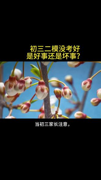 初三家长注意,二模考不好是好事还是坏事?#中考 #初中数学 #独立老师