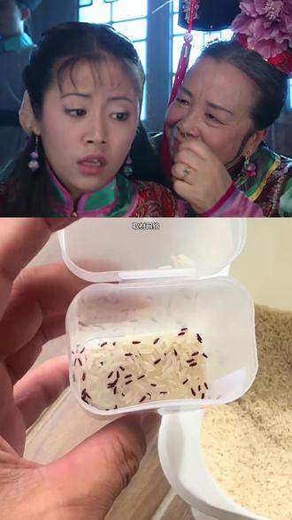 为什么大米会长虫?#粉丝1000万 #科普一下#涨知识