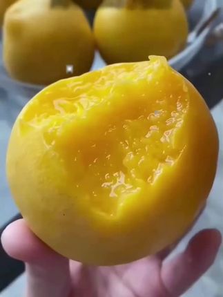 #蔬农联 #山东蒙阴黄油桃 #当天采摘#优质农产品 #强烈推荐