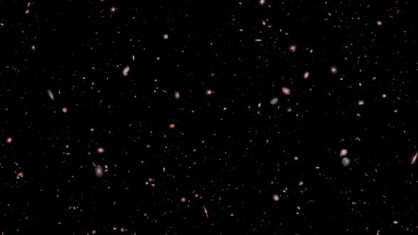 观察日记……#作文#写作素材