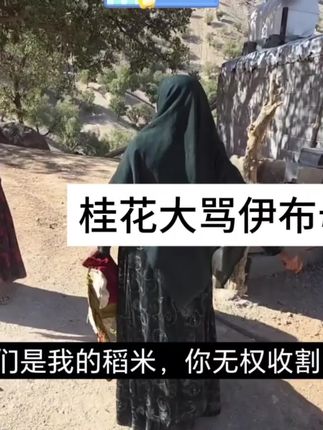 桂花大骂伊布妈妈#游牧生活#乡村故事 #丰收的季节