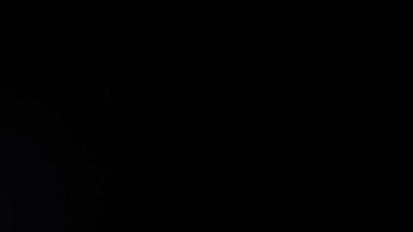 一只振翅的果蝇煽动了一下翅膀#果蝇全脑复制#数字生命 #意识觉醒 #物质决定意识