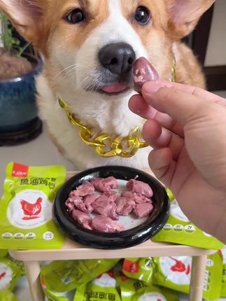 不会还有狗狗没吃过鸡心吧#宠物零食 #萌宠好物#狗零食