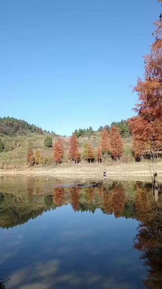 武冈青山水库#大自然的美无处不在