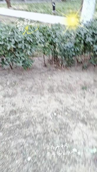 在搬一天的砖就可以回家了。