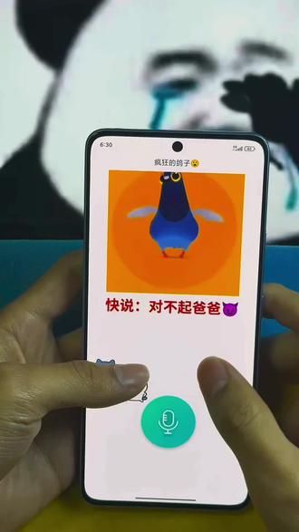 疯狂的鸽子惊喜闺蜜 #整蛊代码 #神秘代码 #鸽子舞 #疯狂的鸽子 #魔性