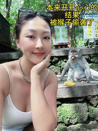 平平无奇的一天,被猴子偷袭了 #圣猴公园 #猴子