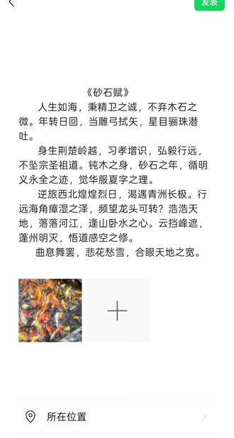 合眼天地之宽#文赋#王明义#安永全#人生#随笔