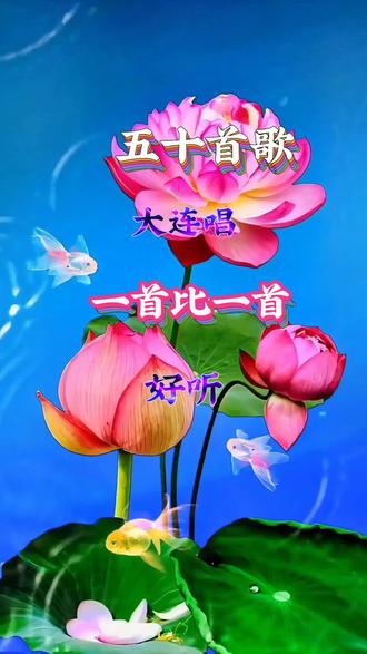 #新疆西藏蒙古的舞蹈和歌曲 @抖音涨粉丝 @抖音作者助手