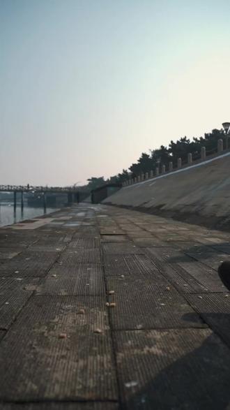 来日照“鸥”遇,邂逅爱心海🌊#看海鸥 #日照爱心海