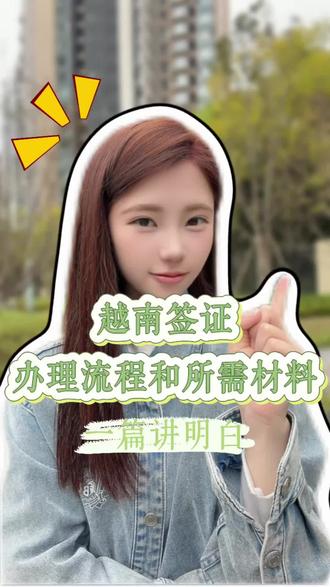 越南签证办理流程和所需材料,一个视频给你讲清楚#办理越南签 #冷知识科普 #越南签证 #越南签证最新政策