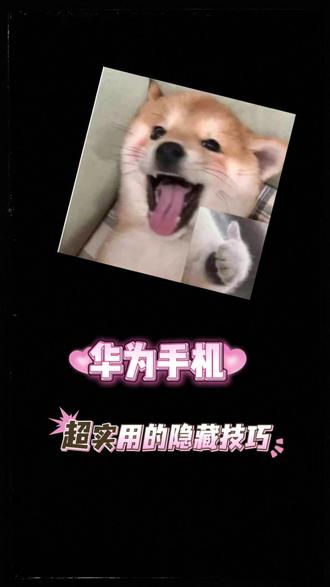 关于#华为mate50 你知道多少呢