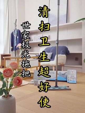 世家极光平拖,干湿两用,2025家居清洁新标准#拖把