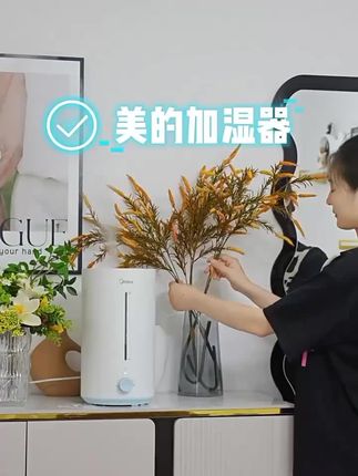 美的小型加湿器家用卧室轻音孕妇婴儿客厅空调房大喷雾空气喷雾器#大品牌 #爆款热卖中 #好物推荐